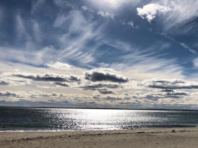 Heights Beach, Falmouth
