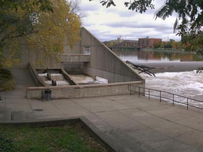 Fish Ladder Park, Grand Rapids