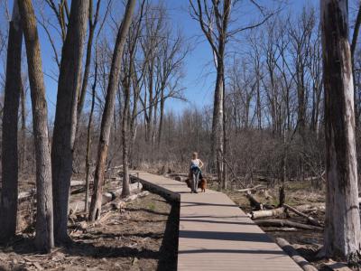 Huff Park, Grand Rapids