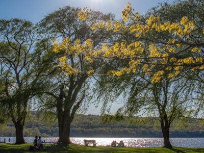 Stewart Park, Ithaca