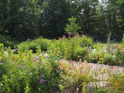 Ithaca Children's Garden, Ithaca