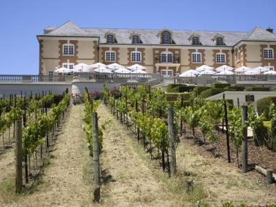 Domaine Carneros, Napa