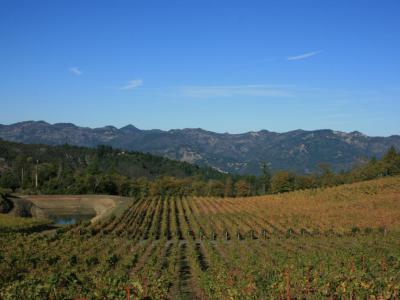 Pride Mountain Vineyards, Napa