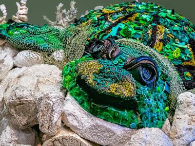 The Collier County Museum, Naples