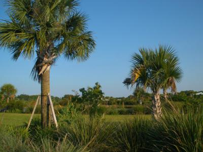 Fred W. Coyle Freedom Park, Naples