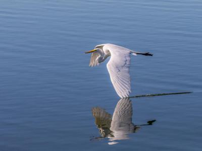 Sugden Regional Park, Naples