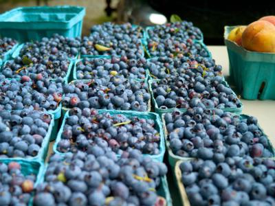 Saratoga Farmers' Market, Saratoga Springs