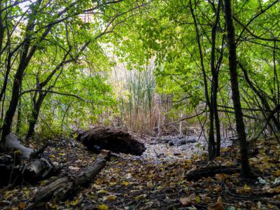 Tuthill Park, Sioux Falls