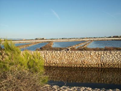 Parco Naturale Molentargius Saline (Molentargius-Saline Natural Park), Cagliari