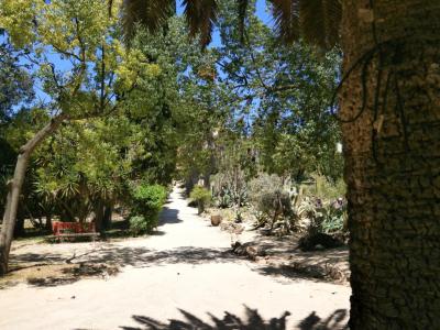 Orto Botanico di Cagliari (Botanical Garden of Cagliari), Cagliari