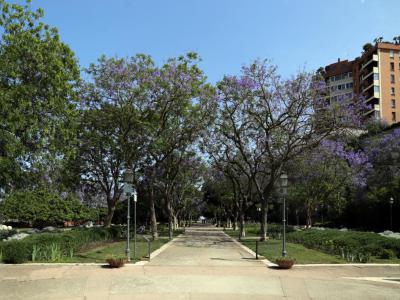 Giardini Pubblici (Public Gardens of Cagliari), Cagliari