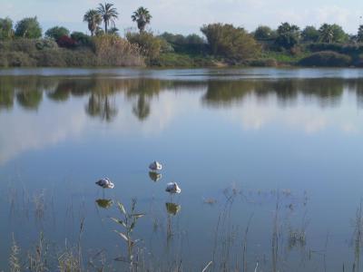 Parco di Terramaini (Terramaini Park), Cagliari