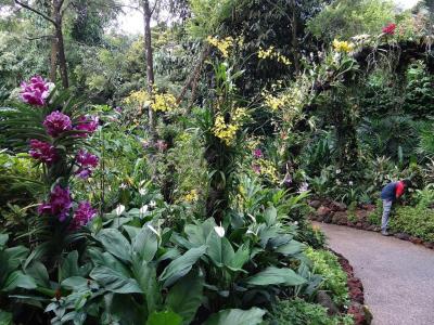 National Races Village, Yangon