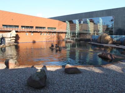Wroclaw Zoo and Africarium, Wroclaw