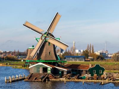Het Jonge Schaap (The Young Sheep), Zaandam