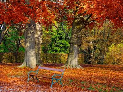Hofgarten (Court Garden), Wurzburg