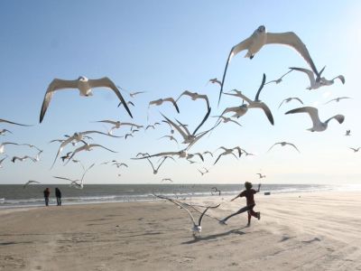 Stewart Beach, Galveston