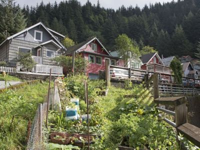 Fries Miners' Cabins