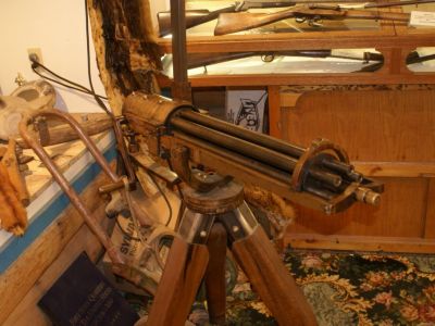 Potlatch Totem Park, Ketchikan