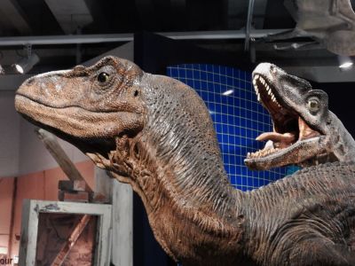 Museo del Meteorito (Meteorite Museum)