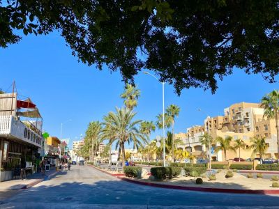 Boulevard Paseo de La Marina (Marina Promenade Boulevard)