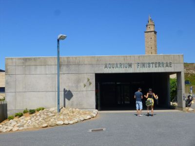 Aquarium Finisterrae (Aquarium of the end of the World), La Coruna