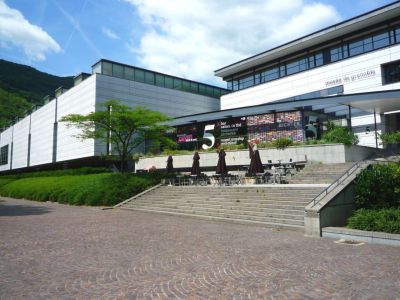 Musee de Grenoble (Museum of Grenoble)