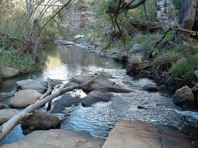 Sabino Canyon, Tucson