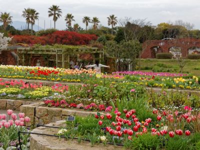 Uminonakamichi Seaside Park, Fukuoka