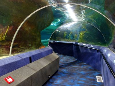 National Aquarium of New Zealand