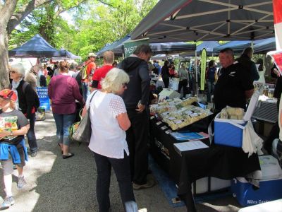Tauranga Farmer's Market, Tauranga