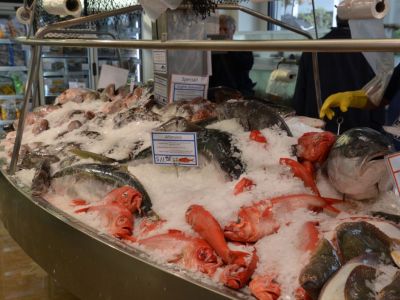 Bobby's Fresh Fish Market Tauranga Waterfront