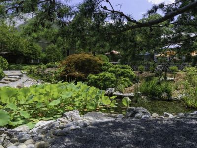 Norfolk Botanical Garden, Norfolk