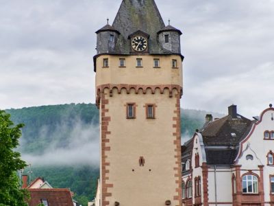 Würzburger Tor (Wurzburg Gate)