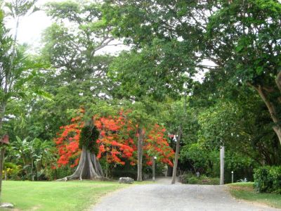 St. George Village Botanical Garden, Frederiksted