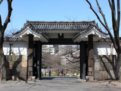 Tayasu-mon Gate, Tokyo