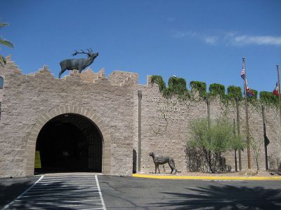 International Wildlife Museum, Tucson