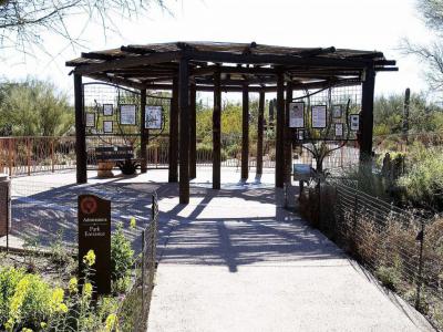 Tohono Chul Park, Tucson