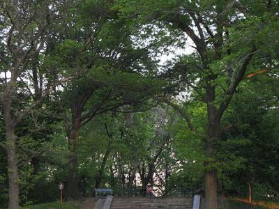 Mount Prospect Park, New York