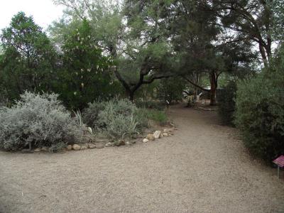 Tucson Botanical Gardens, Tucson
