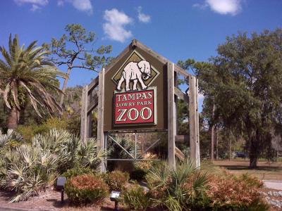 Lowry Park Zoo, Tampa