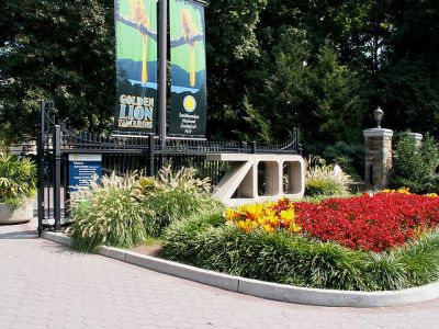 The National Zoo, Washington D.C.