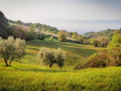 Parco del Monte Subasio (Monte Subasio Park), Assisi