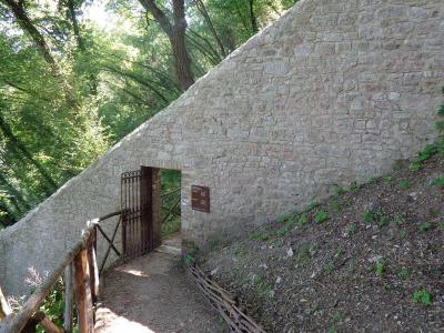 Bosco di San Francesco (Forest of St. Francis), Assisi