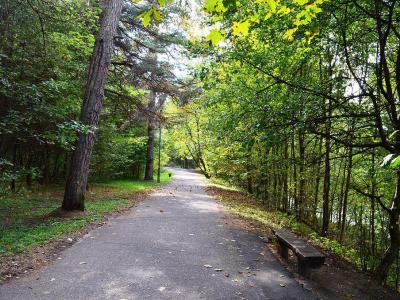 Vingio Parkas, Vilnius