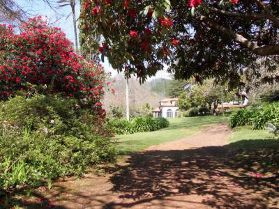 Jardim de Palheiro (Palheiro Gardens), Funchal