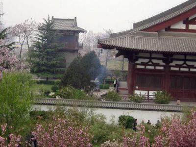 Green Dragon Temple, Xian