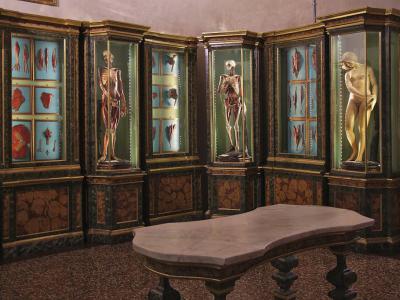 Museo di Palazzo Poggi (Poggi Palace Museum), Bologna