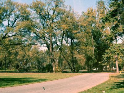 Toronto Island Park, Toronto