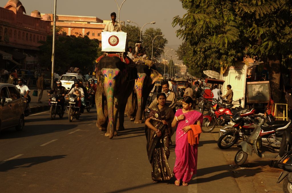 Jaipur Daily Life Walking Tour, Jaipur, India